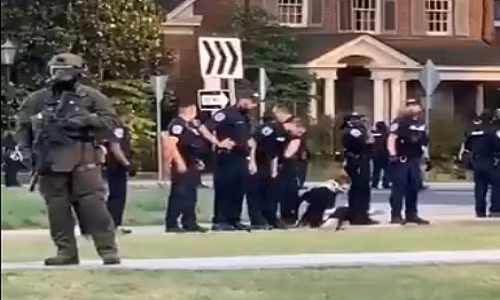 Canh sat My bat giu, nho nuoc bot vao nguoi bieu tinh?