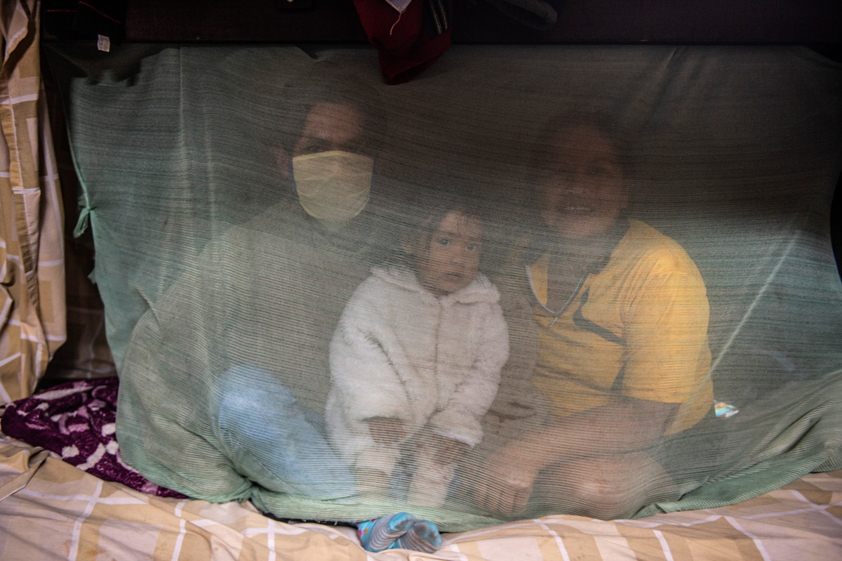 3 người thiệt mạng và hàng chục người khác đã bị nhiễm virus SARS-Co-V-2 trong cộng đồng Cantagallo, nơi có khoảng 300 gia đình thuộc nhóm thiểu số Shipibo Conibo sống ở Lima, Peru. Họ "định cư" ở Lima và ngửi cây thuốc để "bảo vệ" bản thân khỏi COVID-19.