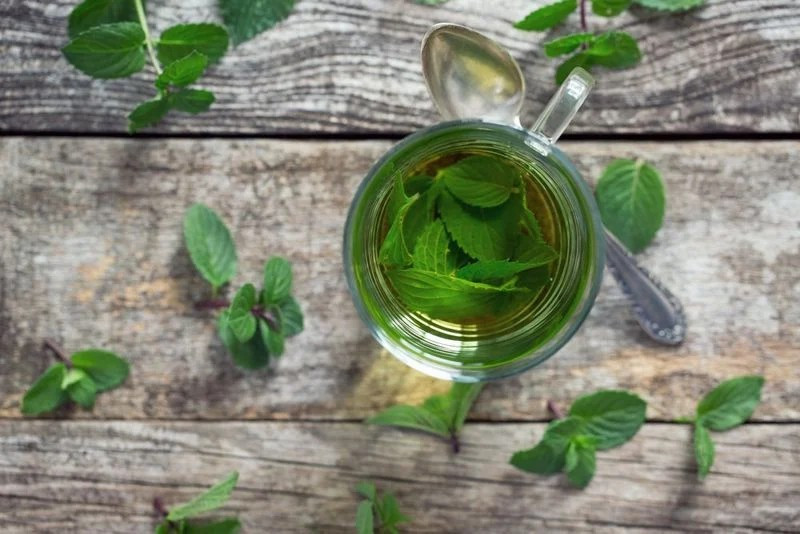 Trà bạc hà: Trà bạc hà giúp tăng cường sức khỏe thần kinh, giảm tình trạng đầy hơi khó tiêu, giúp vết thương mau lành và giúp cơ thể săn chắc hơn. Trà bạc hà còn có tác dụng trị đau họng, giúp thư giãn các cơ và giúp làn da sáng khỏe.