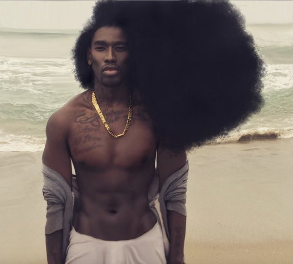 Năm 2016, Benny Harlem bất ngờ gây chú ý khi loạt ảnh của anh được chia sẻ trên mạng xã hội. Điểm đặc biệt đầu tiên ở Benny khiến người khác chú ý là mái tóc dài, xù bông kỳ lạ. Anh và vợ, con gái hiện sống tại California, Mỹ.