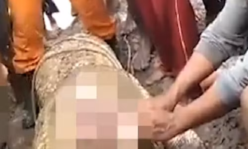 Rung minh ca sau khong lo an thit nguoi phu nu di cau-Hinh-4