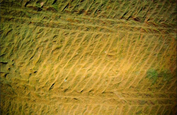 Sau 17 ngày bơm nước, họ phát hiện ra một kỳ quan "không tưởng", đó là hang động cổ xưa bí mật. Hang động này sau đó được đặt tên là Long Du.