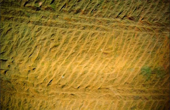 Sau 17 ngày bơm nước, họ phát hiện ra một kỳ quan "không tưởng", đó là hang động cổ xưa bí mật. Hang động này sau đó được đặt tên là Long Du.