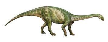 Cơ thể của Massospondylus carinatus có phần "thon thả" hơn, và trong một số hoàn cảnh, nó có thể đứng hai chân. Tuy vậy, vẻ ngoài của nó vẫn giống thằn lằn hộ pháp, là hình dạng truyền thống của các loài Sauropodomorph.