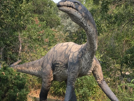 Massospondylus carinatus, với kích thước và trọng lượng nhỏ hơn so với người anh em của mình, là một đại diện đáng chú ý và dị thường. Điều này đã mang đến một cái nhìn mới về sự đa dạng và biến đổi của loài khủng long.