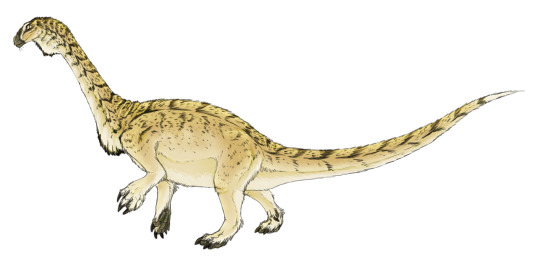 Nhờ vào phát hiện này, chúng ta có cơ hội hiểu rõ hơn về quá trình tiến hóa và phát triển của nhóm khủng long Sauropodomorph và sự thay đổi trong môi trường sống và sinh thái học của thế giới tiền sử.