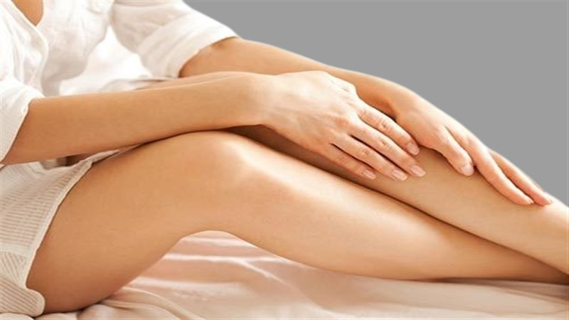 Những sợi lông được hình thành từ protein sừng nhô ra từ cơ thể và chúng thon lại ở mỗi đầu.