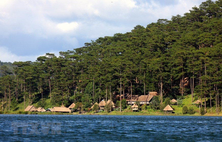 Nằm giữa rừng thông xanh cùng thảm thực vật phong phú, với diện tích rộng hơn 350ha, Hồ Tuyền Lâm là điểm đến của nhiều du khách gần xa. (Ảnh: Phạm Hậu/TTXVN)