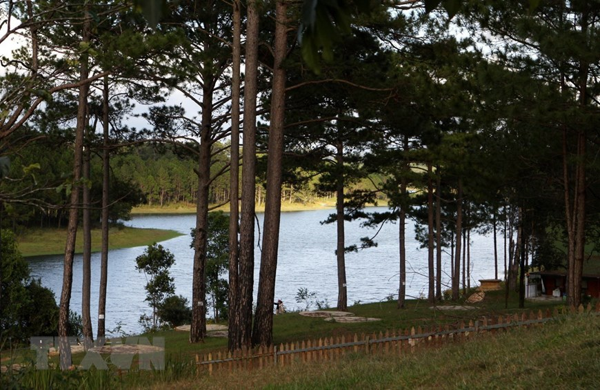 Rộng hơn 350ha, nằm giữa rừng thông xanh cùng thảm thực vật phong phú, Hồ Tuyền Lâm là điểm đến của nhiều du khách gần xa. (Ảnh: Phạm Hậu/TTXVN)