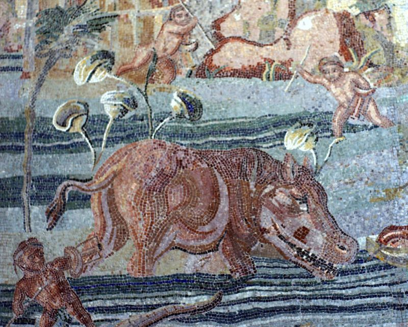 Venatio không chỉ đòi hỏi tính can đảm và kỹ năng chiến đấu của người chơi mà còn phản ánh sự tàn ác trong xã hội La Mã cổ điển. Tuy nhiên, trò chơi này không được mọi người hoan nghênh một cách đồng thuận. Một số người giàu có và nhà cầm quyền cũng như một số triết gia và nhân quyền đã lên tiếng chỉ trích Venatio vì sự đáng thương và nhục nhã của nó.