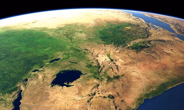 Dự đoán này xuất hiện trong cuốn sách "Siêu lục địa tiếp theo" do Ross Mitchell viết. Trong cuốn sách, ông mô tả lịch sử hình thành siêu lục địa trên Trái Đất, bao gồm siêu lục địa Pangea, Rodinia và Columbia.