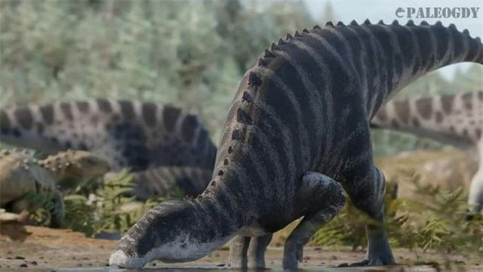 Trong lịch sử nhân loại, khám phá các loài quái thú đã luôn là một sự kiện hấp dẫn và đầy thú vị. Và mới đây, giới khoa học đã được chứng kiến một phát hiện kỳ diệu - sự xuất hiện của một loài quái thú hoàn toàn mới, được gọi là Gonkoken nanoi.