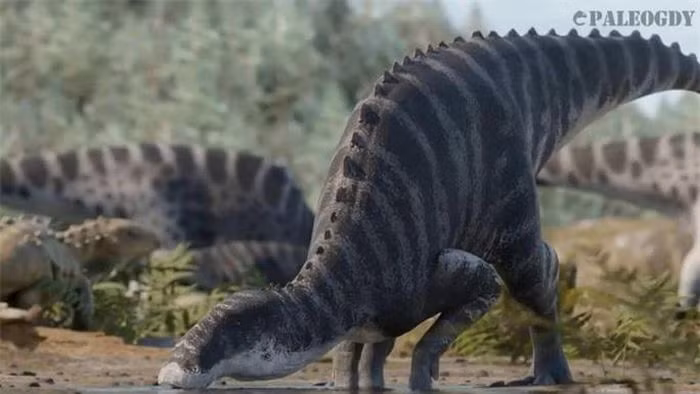 Trong lịch sử nhân loại, khám phá các loài quái thú đã luôn là một sự kiện hấp dẫn và đầy thú vị. Và mới đây, giới khoa học đã được chứng kiến một phát hiện kỳ diệu - sự xuất hiện của một loài quái thú hoàn toàn mới, được gọi là Gonkoken nanoi.