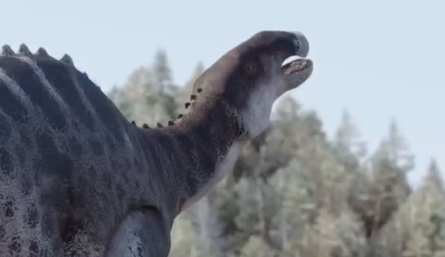 Nhờ vào những mảnh xương này, các nhà khoa học từ Đại học Chile đã có thể tái hiện hình ảnh chân thực của một sinh vật kỳ dị, có chiều dài lên tới 4 mét và nặng tới 1 tấn.