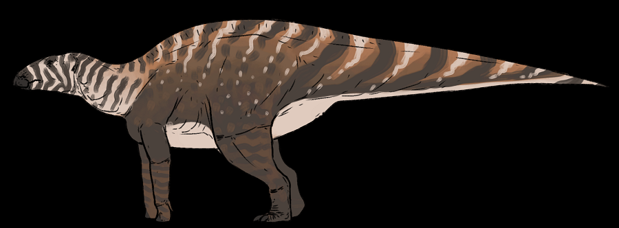 Tuy nhiên, điều làm cho Gonkoken nanoi trở nên đặc biệt là khả năng "mất liên kết" với các loài khủng long cổ đại khác. Các nhà khoa học không thể xác định rõ ràng mối liên hệ họ hàng giữa Gonkoken nanoi với bất kỳ loài tiền nhiệm hay tổ tiên nào khác.