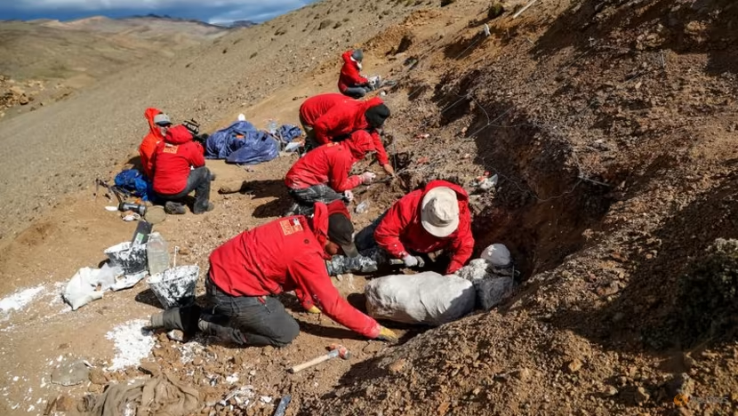 Theo những gì được đăng tải trên tạp chí khoa học Science Advances, Gonkoken nanoi được xếp vào nhóm "khủng long mỏ vịt" do có cái miệng dẹp như mỏ vịt.