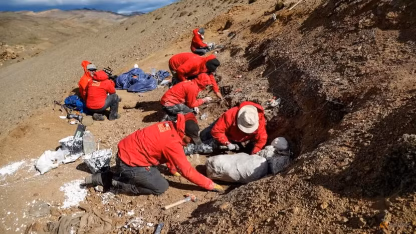 Theo những gì được đăng tải trên tạp chí khoa học Science Advances, Gonkoken nanoi được xếp vào nhóm "khủng long mỏ vịt" do có cái miệng dẹp như mỏ vịt.