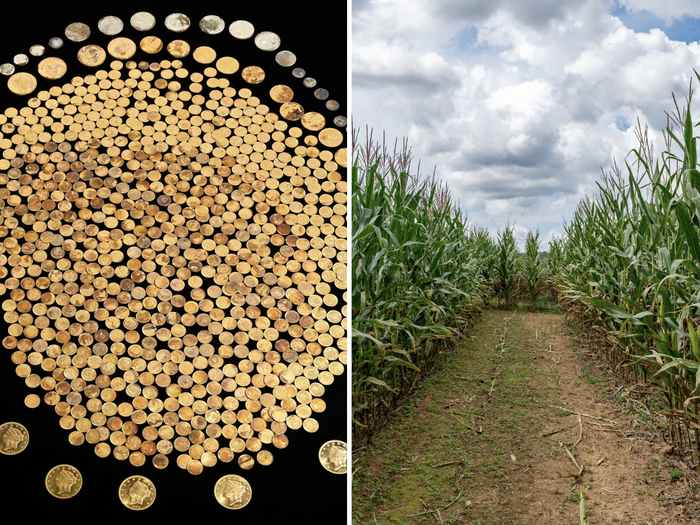 Đáng chú ý, kho báu chứa nhiều đồng xu Liberty 10 đô la và 20 đô la bằng vàng, trong đó có đồng xu Liberty bằng vàng 1 ounce trị giá 20 đô la hiếm có giá trị cao.