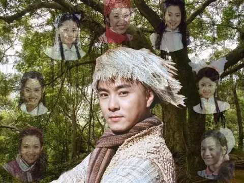 Vi Tiểu Bảo chinh phục được 7 vị hiền thê xinh đẹp, mỗi người mỗi tính cách nhưng đều yêu thương anh hết mực.