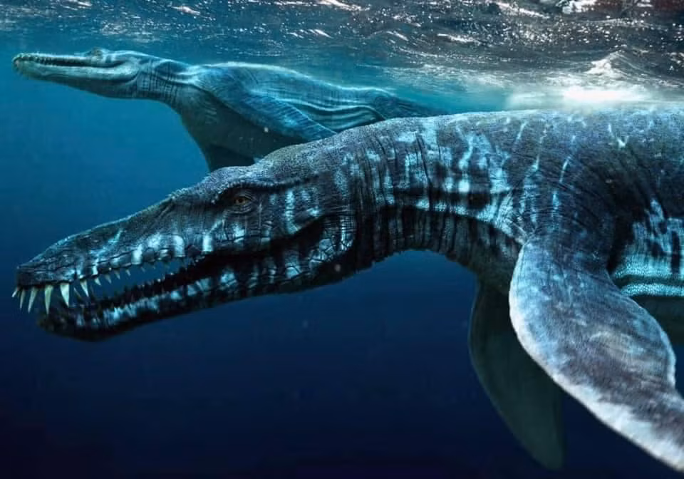 2. Liopleurodon là một loài thằn lằn biển từng phân bố ở Anh, Pháp, Đức, Đông Âu, có thể cả ở Mexico và Mỹ.