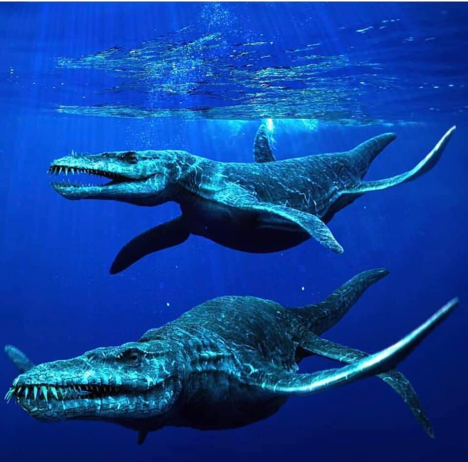 Đây là kẻ săn mồi đáng sợ nhất trong các vùng biển của cuối kỷ Jurassic.