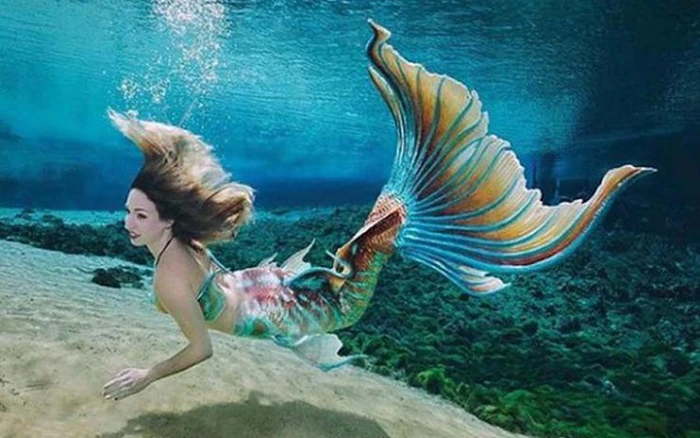 Kể từ đó, các Siren không còn khả năng bay lượn trên bầu trời. Họ sống ở biển và từ đó trở thành nàng tiên cá.