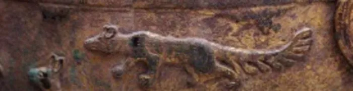 Họa tiết này miêu tả một con cáo có chín đuôi, được gọi là hồ ly 9 đuôi. Tuy nhiên, các chuyên gia cho rằng hồ ly 9 đuôi chỉ là một truyền thuyết và không có thực tế.