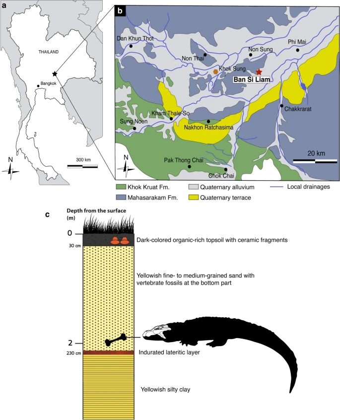 Nhìn vào dung nhan của Alligator munensis, ta không thể không bị ấn tượng bởi sự khác biệt so với các loài cá sấu khác.
