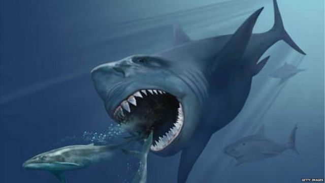 Tuyên bố chấn động: Siêu cá mập Megalodon không phải “kẻ săn mồi máu lạnh“ Tuyen bo chan dong: Sieu ca map Megalodon khong phai “ke san moi mau lanh“