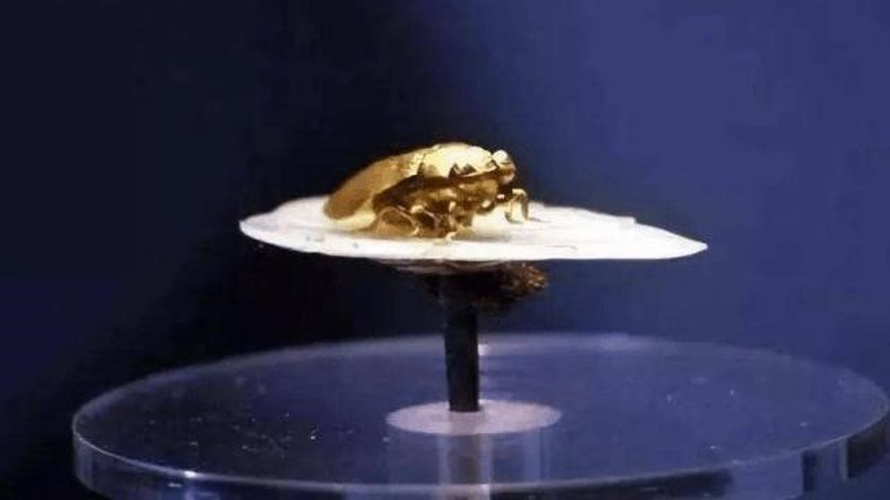 Lý giải cho việc đặt báu vật trên đầu tiểu thiếp là ve sầu tượng trưng cho vòng tuần hoàn bắt đầu và kết thúc. Chủ nhân ngôi mộ hy vọng rằng tiểu thiếp sẽ được tái sinh và có cuộc sống mới. Đặt báu vật quý trên đầu tiểu thiếp cũng cho thấy tình yêu và sự quan tâm của chủ nhân ngôi mộ đối với người phụ nữ này.