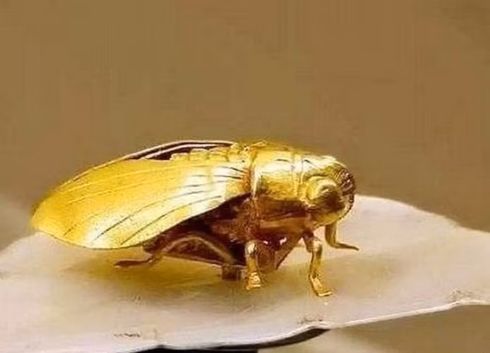 Hiện nay, báu vật này được trưng bày tại Bảo tàng Nam Kinh và trở thành một bảo vật quý giá.