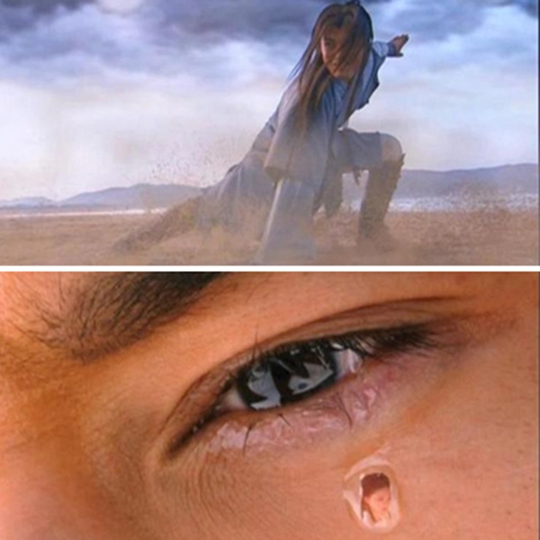 7. Ám nhiên tiêu hồn chưởng: Môn võ công cao cấp có tới 17 tầng chiêu thức, đạt đến trình độ thượng thừa. Để luyện thành môn võ công này, người phải hòa hợp với tâm trí và có tâm trạng tương tư đau khổ vì tuyệt vọng. Đây có thể môn võ công khó luyện nhất trong tiểu thuyết của Kim Dung.