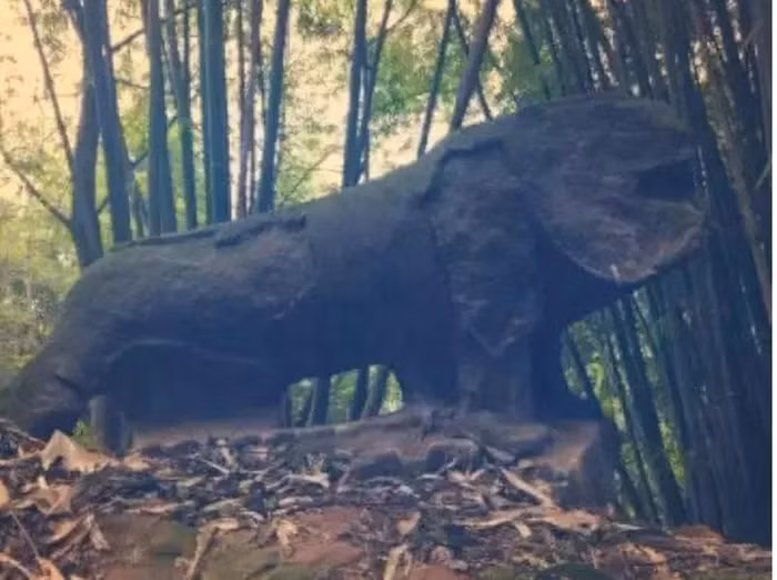 Điều đáng chú ý là những đĩnh bạc này được xác định là quan ngân của nhà Minh và có liên quan đến Trương Hiến Trung - người lãnh đạo phong trào khởi nghĩa nông dân vào cuối thời nhà Minh.