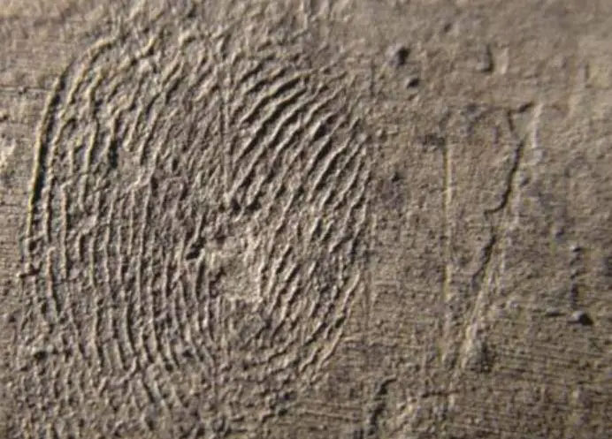 Một nhà khảo cổ đã phát hiện dấu vân tay trên bụng của bức tượng này và dựa vào đó, các chuyên gia xác định đây là dấu vân tay của nghệ nhân đã tạo ra bức tượng hơn 2.000 năm trước.