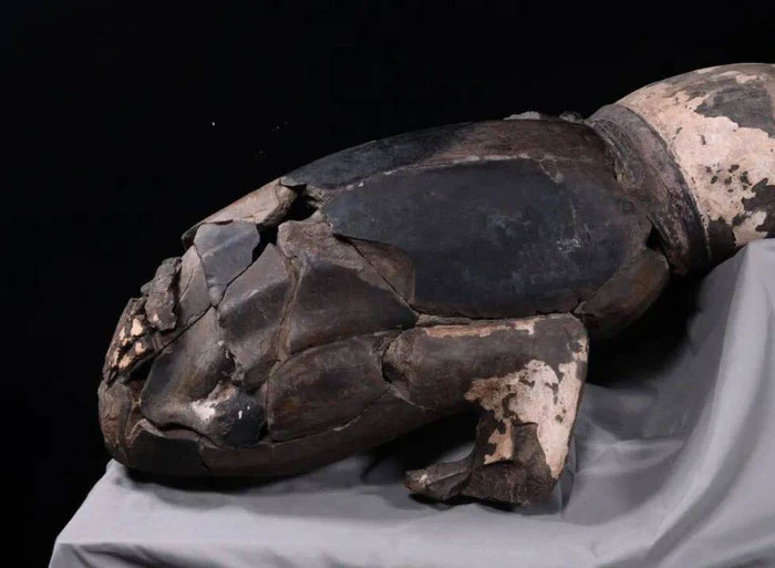 Trong quần thể lăng mộ còn có hàng nghìn bức tượng đất nung khác, đại diện cho đội quân đất nung và những vũ khí, xe ngựa phản ánh sức mạnh quân sự của nhà Tần.