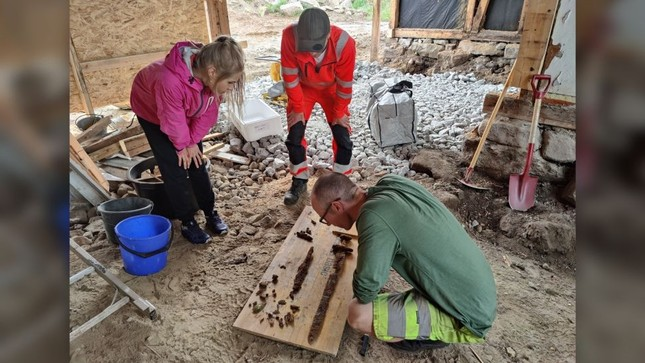 Người đàn ông Na Uy đào bới sân nhà để cơi nới ngôi nhà đã tình cờ phát hiện một mộ cổ xa hoa của một chiến binh Viking. Mộ cổ này có niên đại vào khoảng những năm 800-900 SCN, thời kỳ Viking ở Bắc Âu.