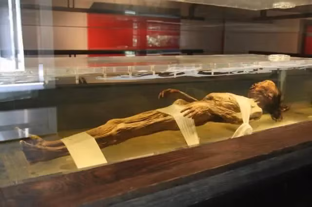 Khi đi vào ngôi mộ cổ, các chuyên gia phát hiện rằng tất cả đã bị phá hủy. Họ cũng tìm thấy các mảnh lụa, mảnh vỡ bằng sứ và mảnh vỡ của quan tài.