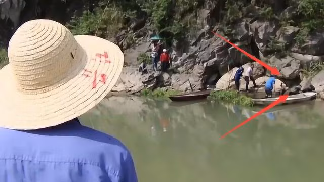 Khi đến cuối mùa thu, chúng vào hang để đẻ trứng và rời khỏi hang vào tháng 4. Trùng hợp với dịp Tết Thanh minh, hàng chục nghìn con cá "nhả ra" từ hang động, tạo nên cảnh tượng độc đáo.