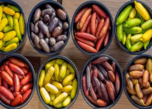 Giá chanh ngón tay có thể lên tới hàng triệu đồng cho 1kg, tương đương với nửa chỉ vàng. Tại Trung Quốc, nông sản này được nhập khẩu và bán với giá cao tới 1100 NDT/kg.