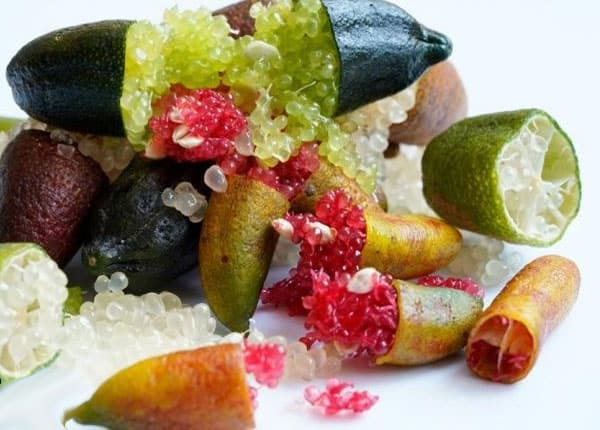 Chanh ngón tay chứa nhiều vitamin và dưỡng chất, hỗ trợ tăng cường miễn dịch, ngăn ngừa lão hóa, kích thích collagen, giảm huyết áp và thiếu sắt.