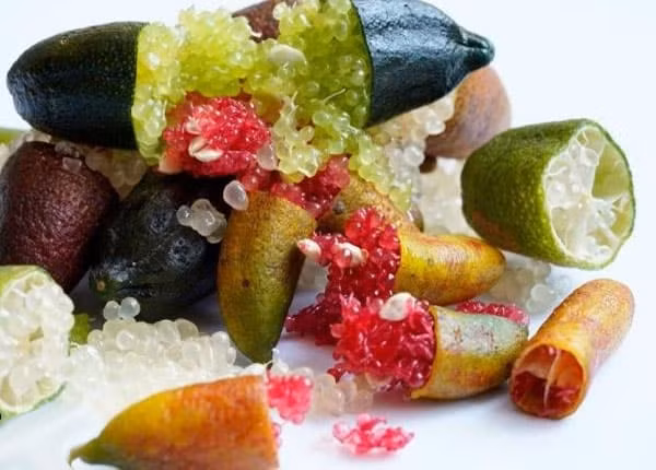 Chanh ngón tay chứa nhiều vitamin và dưỡng chất, hỗ trợ tăng cường miễn dịch, ngăn ngừa lão hóa, kích thích collagen, giảm huyết áp và thiếu sắt.