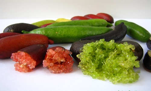 Cách sử dụng phổ biến của chanh ngón tay bao gồm làm chấm kèm với các món hải sản, nước ép, món tráng miệng, và sử dụng trong các món ăn khác như salad, nước mắm chanh, nấu canh, xào, và món chay.