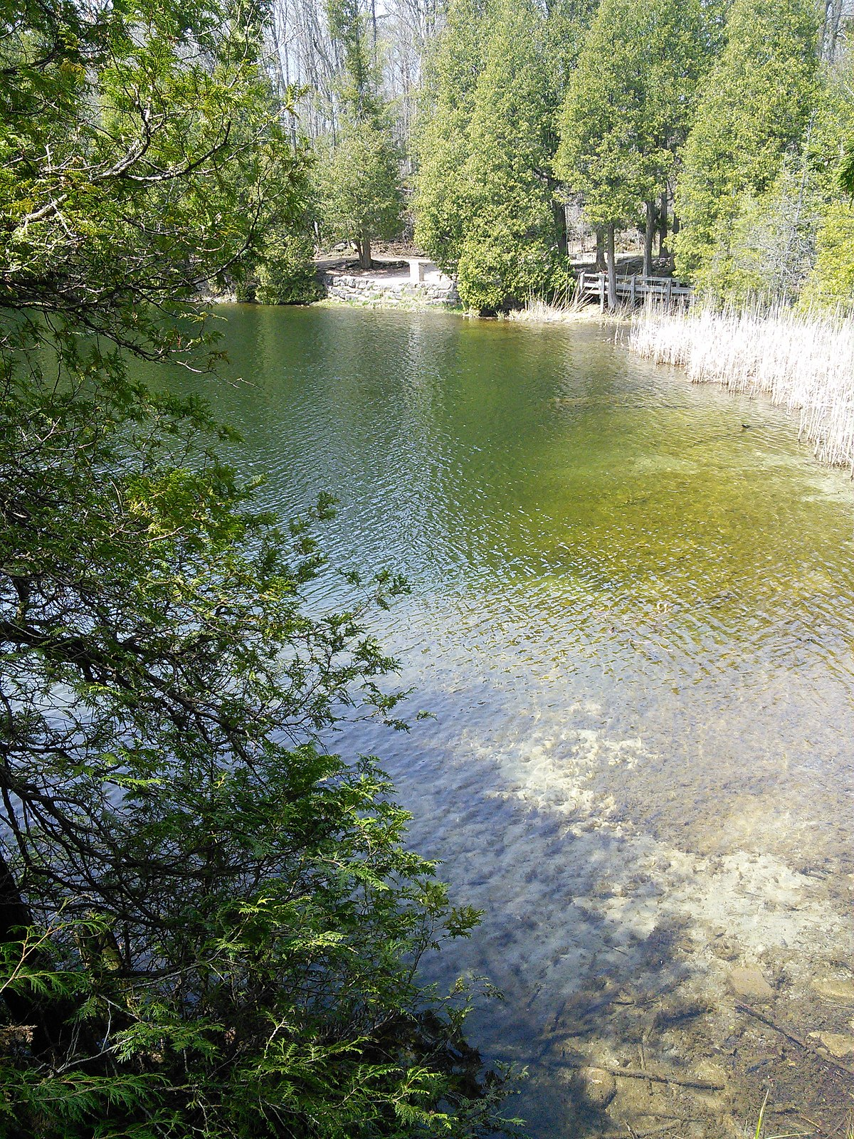 Quyết định cuối cùng sẽ được đưa ra tại Đại hội Địa chất Quốc tế lần thứ 37 vào tháng 8/2024.