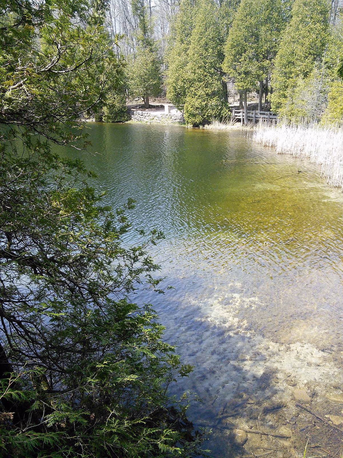 Quyết định cuối cùng sẽ được đưa ra tại Đại hội Địa chất Quốc tế lần thứ 37 vào tháng 8/2024.