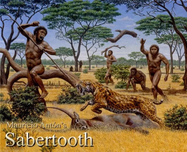 Phát hiện các loài mèo răng kiếm mới này đã mở ra cơ hội để hiểu rõ hơn về quá khứ hấp dẫn của châu Phi và sự tiến hóa của con người.