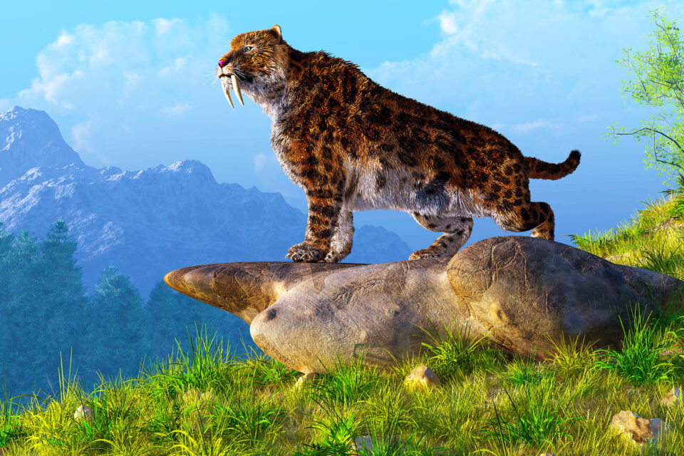 Đúng vào khoảng 5 triệu năm trước, tổ tiên loài người bắt đầu tập đi bằng hai chân, và thông qua hàng triệu năm tiến hóa, loài người đã phát triển thành Homo erectus, "Người Đứng Thẳng."