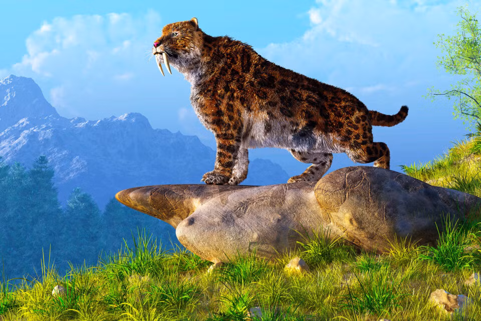 Đúng vào khoảng 5 triệu năm trước, tổ tiên loài người bắt đầu tập đi bằng hai chân, và thông qua hàng triệu năm tiến hóa, loài người đã phát triển thành Homo erectus, "Người Đứng Thẳng."