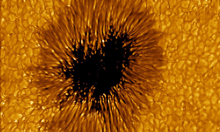 Vết đen trên Mặt Trời là những khu vực có nhiệt độ thấp hơn xung quanh và xuất hiện như các mảng tối trên bề mặt Mặt Trời. Chúng được hình thành bởi tương tác của các dòng từ trong Mặt Trời và sự biến đổi trong cấu trúc và mật độ của các vùng khí và mảng tia trên bề mặt Mặt Trời. Các vết đen có thể kéo dài từ vài giờ đến vài tuần và thường có đường kính từ vài ngàn đến vài chục ngàn kilômét.