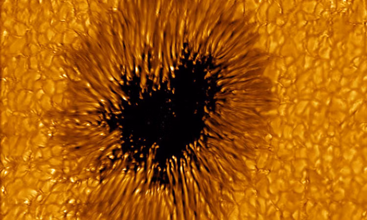 Vết đen trên Mặt Trời là những khu vực có nhiệt độ thấp hơn xung quanh và xuất hiện như các mảng tối trên bề mặt Mặt Trời. Chúng được hình thành bởi tương tác của các dòng từ trong Mặt Trời và sự biến đổi trong cấu trúc và mật độ của các vùng khí và mảng tia trên bề mặt Mặt Trời. Các vết đen có thể kéo dài từ vài giờ đến vài tuần và thường có đường kính từ vài ngàn đến vài chục ngàn kilômét.