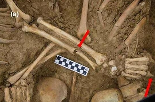 Với tình yêu đáng ngưỡng mộ của cặp đôi này và mong muốn thực hiện ý nguyện cuối cùng là được bên nhau có thể là lý do khiến người thân chôn cất họ cùng nhau.